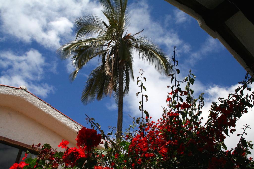 Casa Macondo Bed & Breakfast Cuenca Bilik gambar